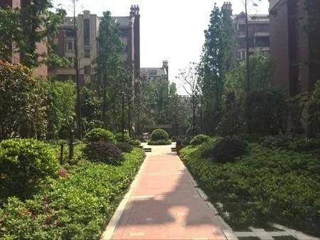 六安碧桂园最新爆料,揭秘全新规划与亮点抢先看